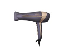 Gotie GSW-200V hair dryer (purple)