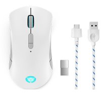 Lenovo Legion M600 Wireless Gaming mouse Ambidextrous RF Wireless + Bluetooth + USB Type-A Optical 16000 DPI