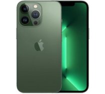 MOBILE PHONE IPHONE 13/256GB GREEN MNGL3 APPLE MNGL3ET/A | 194253129080