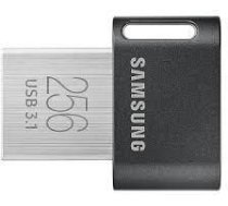 USB flash MEMORY DRIVE FLASH 256GB, USB3.1, Melns MUF-256AB/APC | 8801643233563