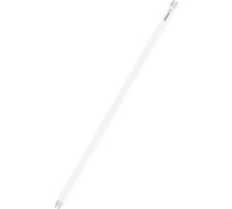 SubstiTUBE T8 EM STAR PC 6.6 W/3000 K 600 mm 4058075593800 | 4058075593800