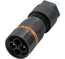 RC M P2 SP 2903190000 | 4099986122369