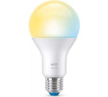 Viedā LED spuldze Wi-Fi BLE 100W A67 E27 927-65 TW 1PF/6 1521lm 2200-6500K 929002449622 | 8718699786175