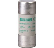 NFC kārtridžu drošinātāji, TeSys GS, cilindrisks, 22mm x 58mm, drošinātājs tips aM, 500V AC, DF2FA63 | 3389110502824