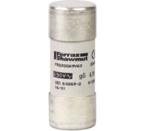 NFC kārtridžu drošinātāji, TeSys GS, cilindriski, 22mm x 58mm, drošinātājs tips gG, 500V AC, DF2FN63 | 3389110503005