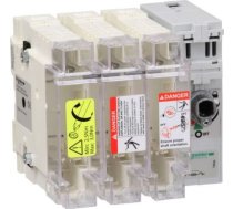 Slēdža atvienotāja drošinātājs, TeSys GS, 3P, 100A, drošinātāja tips NFC, izmērs 22x58 mm GS2J3 | 3389119410687