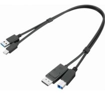Lenovo | ThinkStation mDP + USB-A 3.0 to DP + USB-B 3.0 Dual Head Cable 4X91D11453 | 195892017134