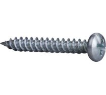 Thorsman - TGS 4.2x32 - screw - panhead - set of 100 3709850 | 7315883709852