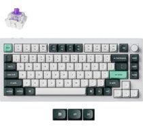 KEYBOARD WRL Q1 HE RGB/SHELL WHITE Q1H-P1 KEYCHRON Q1H-P1 | 4895248871354