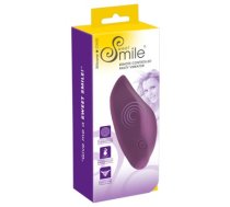 sweet smile rc vibrators