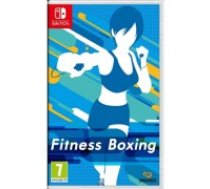 Nintendo Switch Fitness Boxing