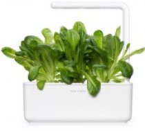 Click & Grow gudrā augu dārza uzpilde Romiešu salāti 3gb. (SGR50X3)