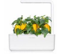 Click & Grow gudrā augu dārza uzpilde Dzeltenā saldā paprika 3gb. (SGR53X3)