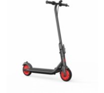 Segway Ninebot eKickscooter ZING C20, grey (AA.00.0011.54)