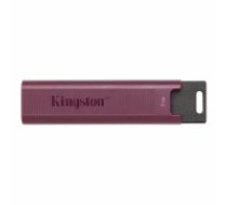 USB Zibatmiņa Kingston DTMAXA/1TB