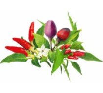 Click & Grow Plant Pod Chili Pepper Mix 9pcs (PPMCPX9)