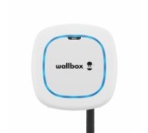 Wallbox                    Pulsar Max Electric Vehicle charge, 5 meter cable Type 2, 22kW, OCPP + DC, White (PLP2-0-2-4-9-001)