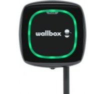 Wallbox                    Pulsar Plus Electric Vehicle charger, 7 meter cable Type 2, 11kW, RCD(DC Leakage) + OCPP, Black (PLP1-M-2-3-9-002)