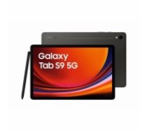 Samsung X716N Galaxy Tab S9 5G 256 GB (Grau) 11" WQXGA Display / Octa-Cora / 12GB RAM / 256GB Speicher / Android 13.0 (SM-X716BZAEEUB)