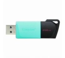 USB Zibatmiņa Kingston Exodia M Melns 256 GB