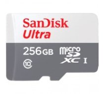 SanDisk Ultra microSDXC 256GB 100MB/s Class 10 UHS-I, EAN: 619659196516 (SDSQUNR-256G-GN3MN)