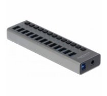 Delock Externer SuperSpeed USB Hub mit 13 Ports + Schalter, USB-Hub (63738)