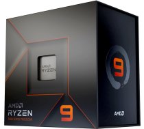 Procesors AMD Ryzen 9 7900X (100-100000589WOF)