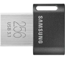 USB zibatmiņa SAMSUNG FIT PLUS 256GB USB 3.1 (MUF-256AB/APC)