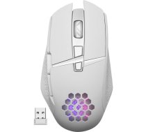 Pele DEFENDER GM-514 GLORY White (52513)