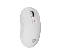 Pele Genesis Zircon 660 Pro White (NMG-2194)
