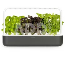 Click & Grow Smart Garden 9, grey