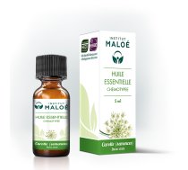 Burkānu sēklu (Daucus carota) BIO ēteriskā eļļa 100% organiska, dabīga, 5 ml