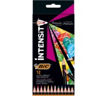 BIC Coloring pencils Intensity 12 colours 951844