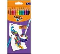 BIC Kids Evolution Illusion erasable pencil crayons box of 12 pcs