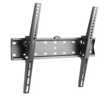 Gembird | Wall mount | WM-55T-02 | 32-55 " | Maximum weight (capacity) 40 kg | Black