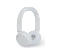 Panasonic Headphones | RB-HF630BE-W | Bluetooth | Over-ear | Noise canceling | Wireless | White