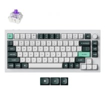 KEYBOARD WRL Q1 HE RGB/SHELL WHITE Q1H-P1 KEYCHRON