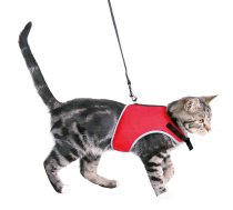 Krūšu siksna veste ar pavadu kaķiem : Trixie Soft harness with lead for cats, 28–42 cm, 1,20 m