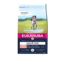 Sausa barība suņiem - Eukanuba DOG Senior Large Grain Free ocean fish 3kg