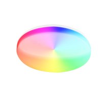 TELLUR Smart WiFi Ceiling Light, RGB 24W, Round, White TLL331401 Griestu lampa