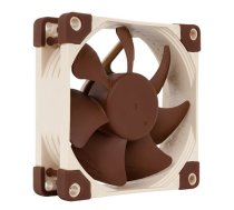 NOCTUA NF-A8 PWM 8 cm Beige Brown NF-A8 PWM Dzesētājs