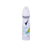 REXONA MotionSense Stay Fresh 150ml Women Dezodorants