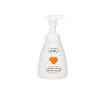 ZIAJA Pumpkin With Ginger Hands & Body Foam Wash 250ml Attīrošās ziepes