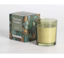 EVELEKT Scented candle in glass NATURE GREEN H9,5cm, Tranquil Summer Aromātiskā svece