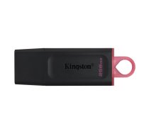 Kingston USB zibatmiņa DTX/256GB MEMORY DRIVE FLASH USB3.2/256GB DTX/256GB KINGSTON