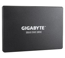GIGABYTE SSD disks GP-GSTFS31256GTND GP-GSTFS31256GTND