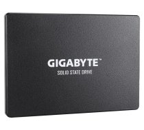 GIGABYTE SSD disks GP-GSTFS31100TNTD