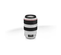 Canon EF 70-300mm f/4-5.6L IS USM