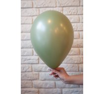 Lateksa balons, eikalipta, 30 cm (ST-R12027)