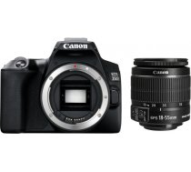 Canon EOS 250D + EF-S 18-55mm IS II 9959292132724